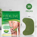 FlexLive Recovery Patch