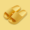 Cloud Orthopedic Slides