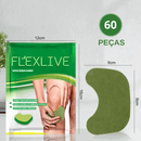 FlexLive Recovery Patch