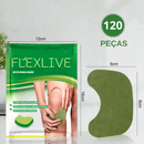 FlexLive Recovery Patch